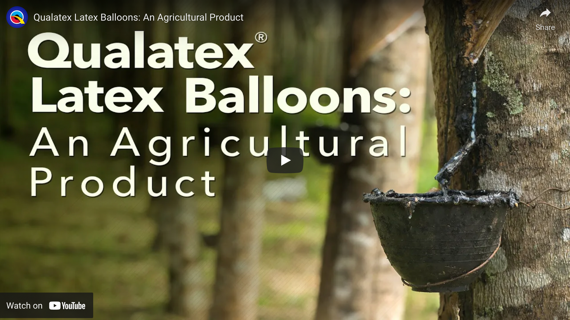 Load video: How Latex balloons are made